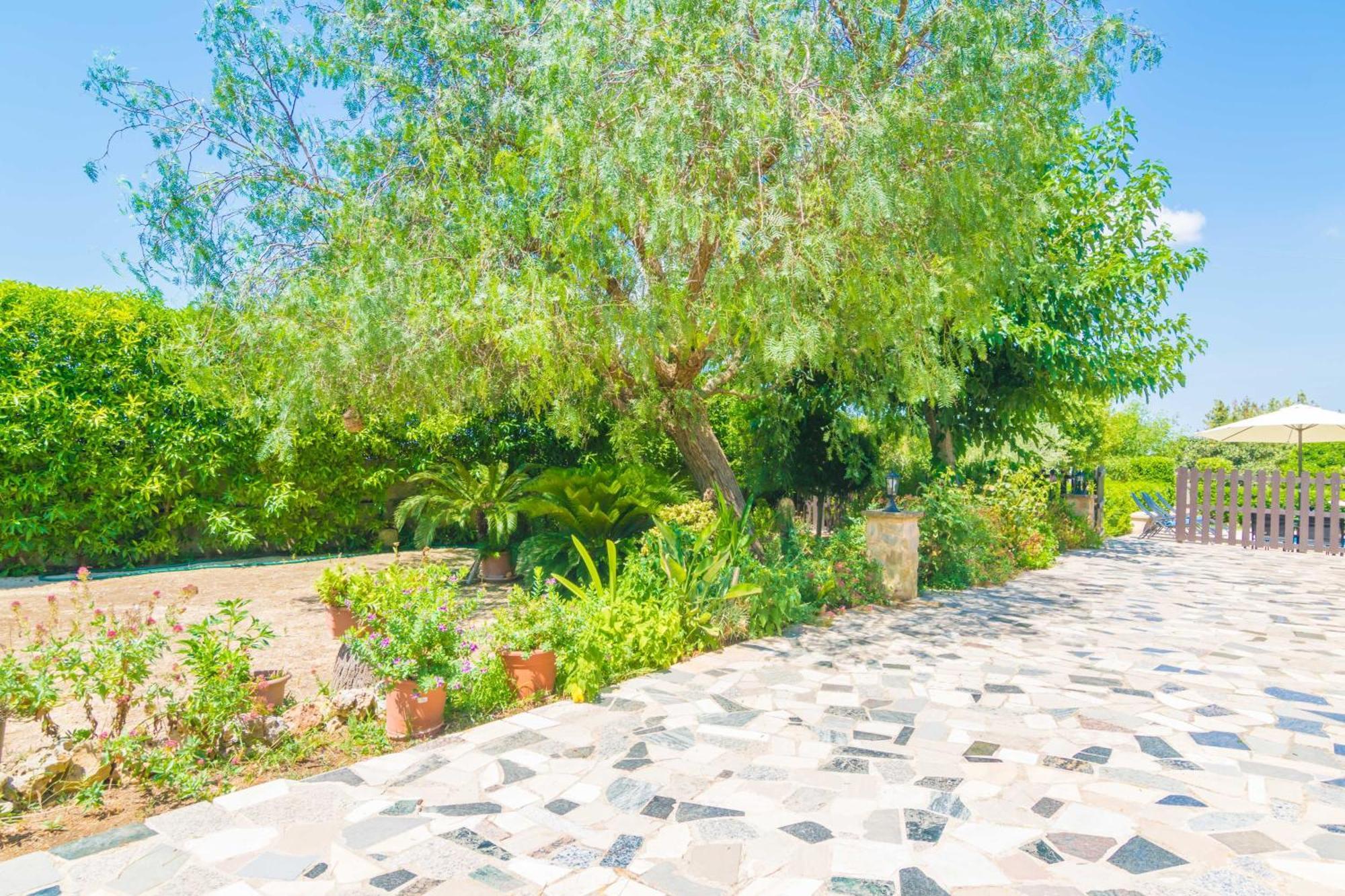 Villa Fernando Manacor Kültér fotó